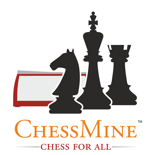 FollowChess - Have a great year following chess, folks!